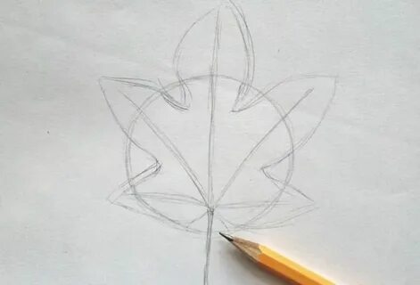 Рисуем лист клена поэтапно