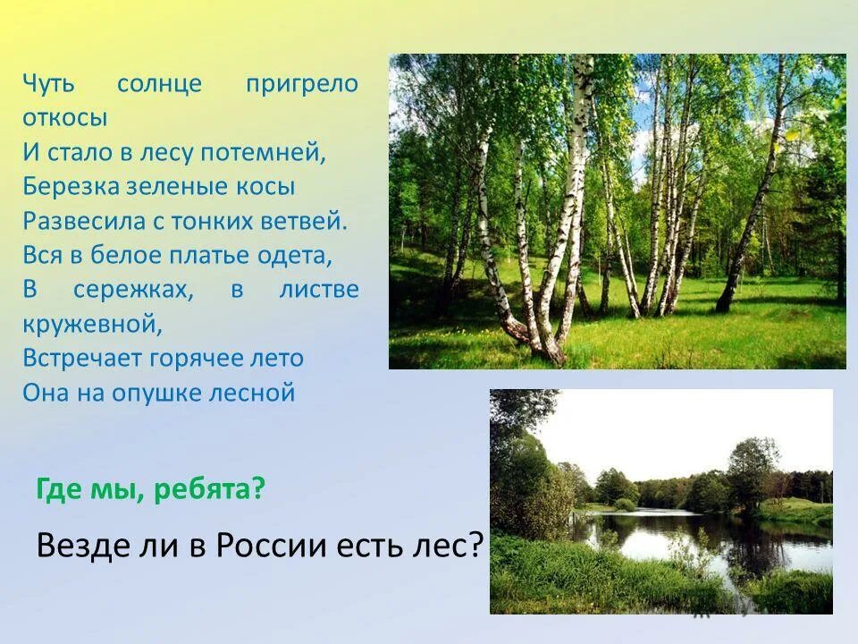 Пригрело солнце предложения. Чуть солнце пригрело откосы и стало в лесу. чуть солнце пригрело. стих чуть солнце пригрело откосы. береза чуть солнце пригрело.