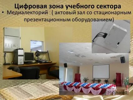 Цифровая зона