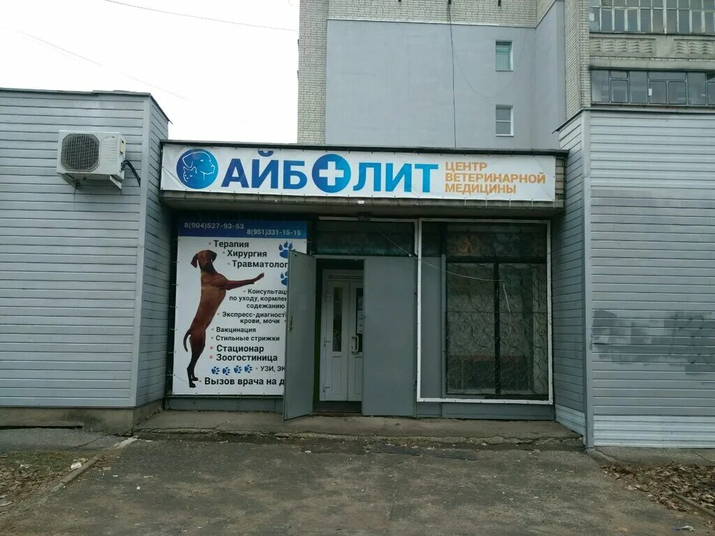 клиника айболит улан-удэ. ветеринарные клиники адреса и телефоны улан удэ. зоосфера ветеринарная клиника. ветеринарная клиника улан-удэ круглосуточно. ветеринарные клиники улан.