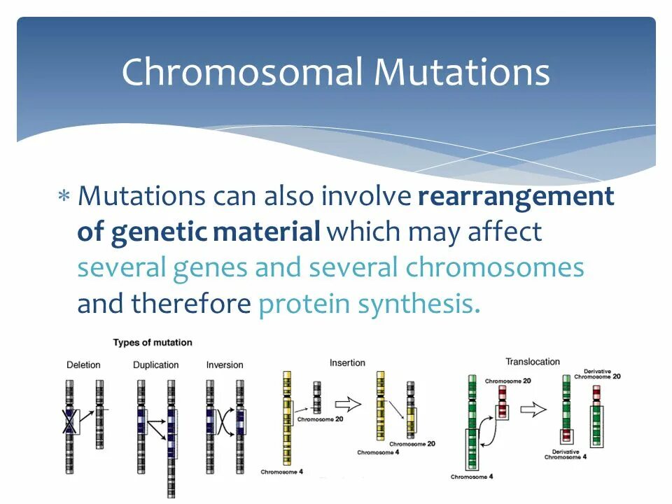 Chromosomal Mutations. Genomic Mutations. Gene genomic and chromosomal Mutations. Types of Mutations. Also involves