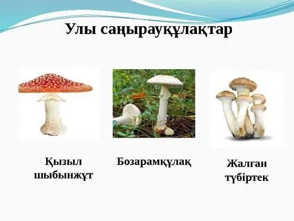 Жамбастың әуесқойлық фотосы