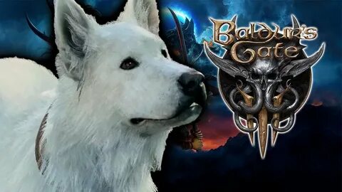 Bg3 dragonborn