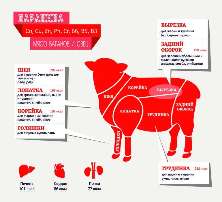 Нежные части говядины. Схема разделки туши баранины. Части туши баранины схема. Мясо баранина схема разруба. Схема разделки мяса баранины.