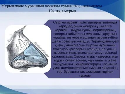 Ледибойдың жалаңаш суреті