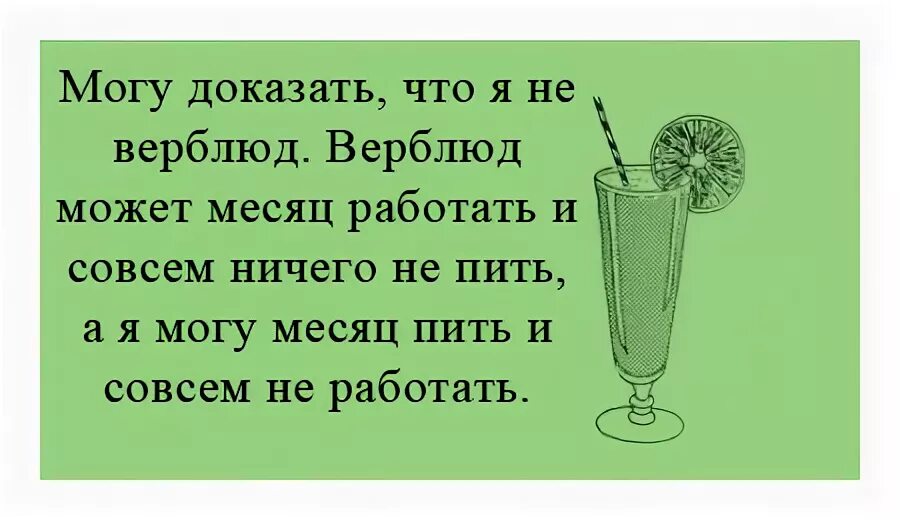 Пил целый месяц. Доказать что не верблюд. Доказывать что ты не верблюд. Доказывать что я не верблюд. Доказывать что ты не верблюд значение.