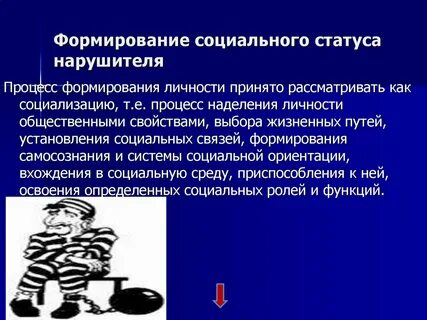 Статус правонарушителя