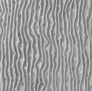 3d silver