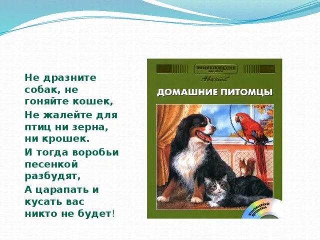 Не дразните собак презентация. Стих не дразни собак. Песня не дразните собак. Не дразните собак не гоняйте кошек.