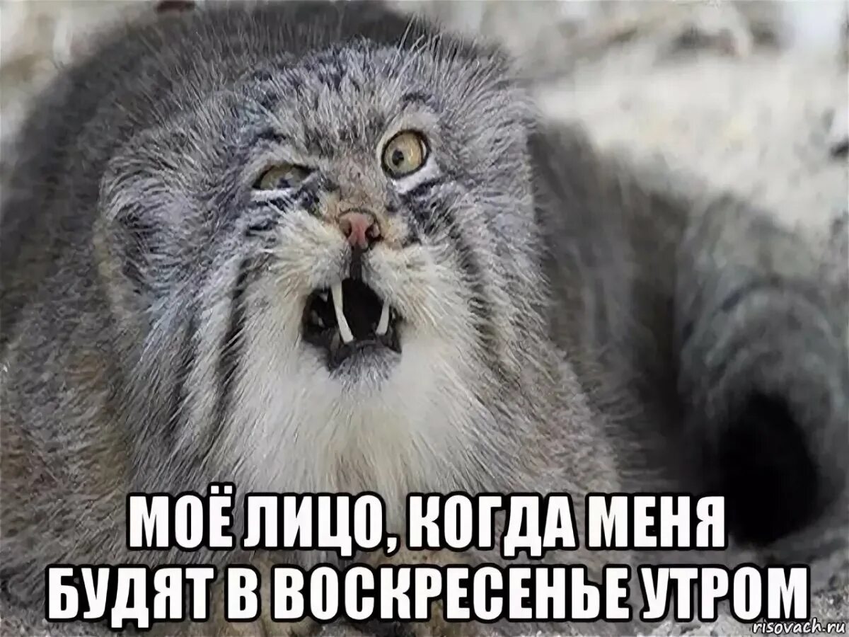 Не знаешь ни дня ни часа