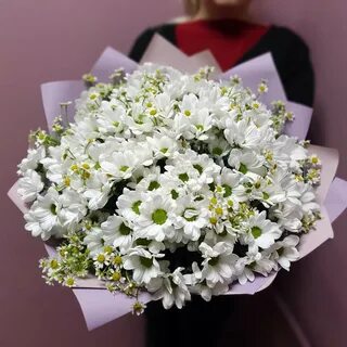 Букет белых ромашек