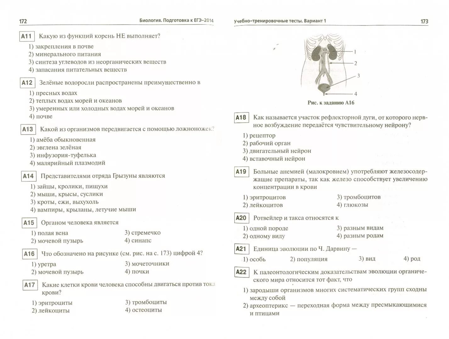 Класс подготовка егэ биологии. Тесты по биологии ЕГЭ. Тренировочные задания по биологии. ЕГЭ биология тесты. Вопросы по биологии ЕГЭ.