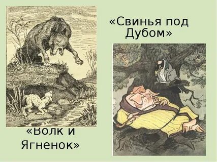 Волк и свинья басня