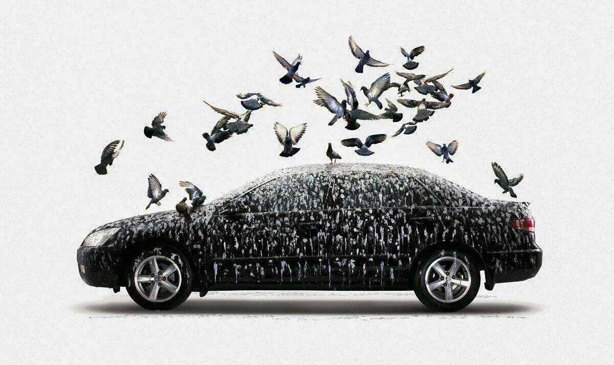 Машина bird. Креативная реклама на авто. Машина в птичьем помете. Креативная автомобильная реклама. Креативные машины.