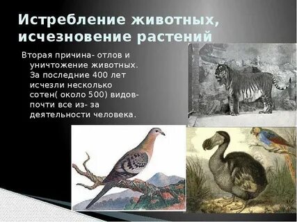 Вымершие животные список