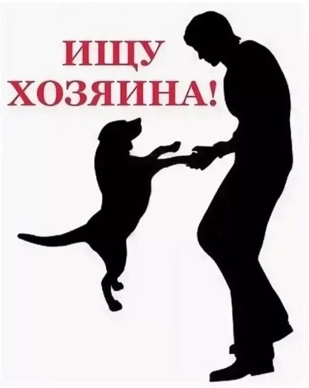 Около хозяев