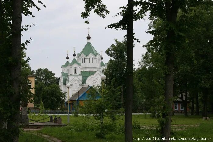 Бешенковичи витебск. Типичные бешенковичи.