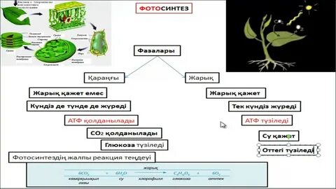 ВКонтакте желісіндегі ересектердің фотоларына қарап отыр