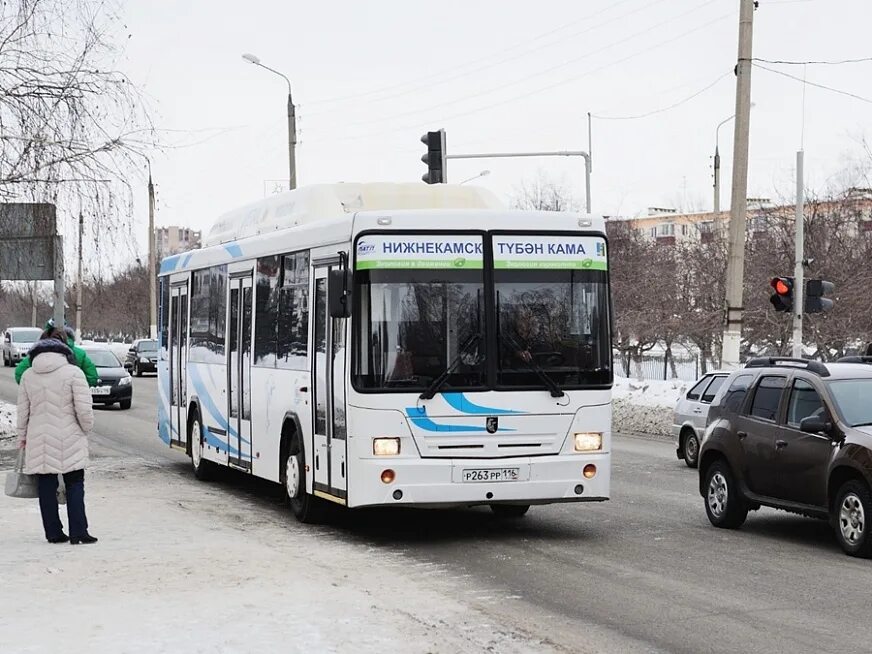 Транспорт нижнекамск автобус. Автобус 35 Нижнекамск. ПАТП-1 Нижнекамск. Нижнекамск общественный транспорт. Автобусы Нижнекамск ПАТП 2021.