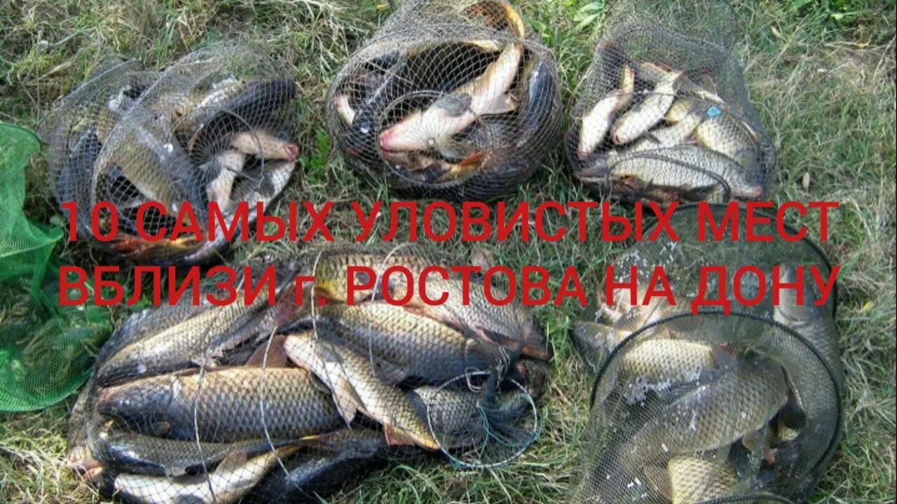 Рыбалка в ростове 2025. Платная рыбалка в ростове.