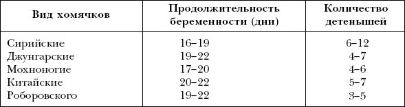 Сколько лет хомяку по человеческим. Таблица возраста хомяков. Сколько лет хомяку по человеческим меркам. Сколько хомячоу лет по человеческим меркам. Возраст хомяка по человеческим меркам сирийского.