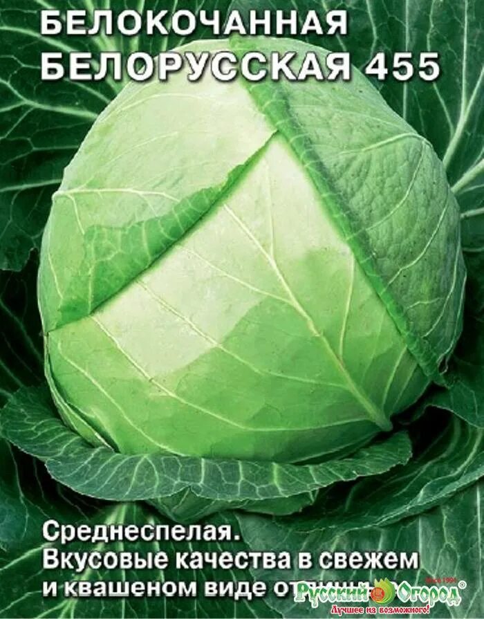 Капуста белорусская описание сорта отзывы. Капуста белокочанная белорусская 455. Капуста белорусская 455 описание сорта. Капуста белокочанная белорусская 455 описание. Капуста б/к белорусская 455.