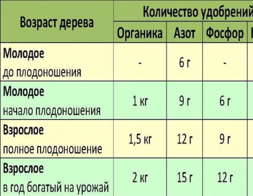 Подкормка яблонь весной для большого урожая. Схема удобрения яблонь. подкормка груши схема. удобрения для грушевого дерева. суперфосфат удобрение для груши.