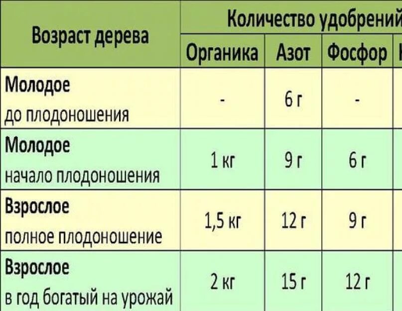 Схема удобрения яблонь. Подкормка груши схема. Удобрения для грушевого дерева. Суперфосфат удобрение для груши. Подкормка яблонь и груш