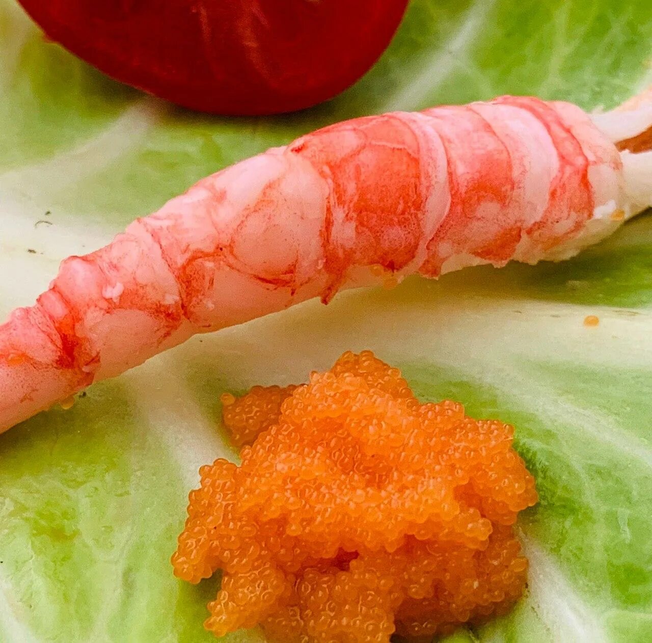 северная креветка с икрой. креветки с икрой. креветка черри самка. креветки с икрой. икра королевских креветок.