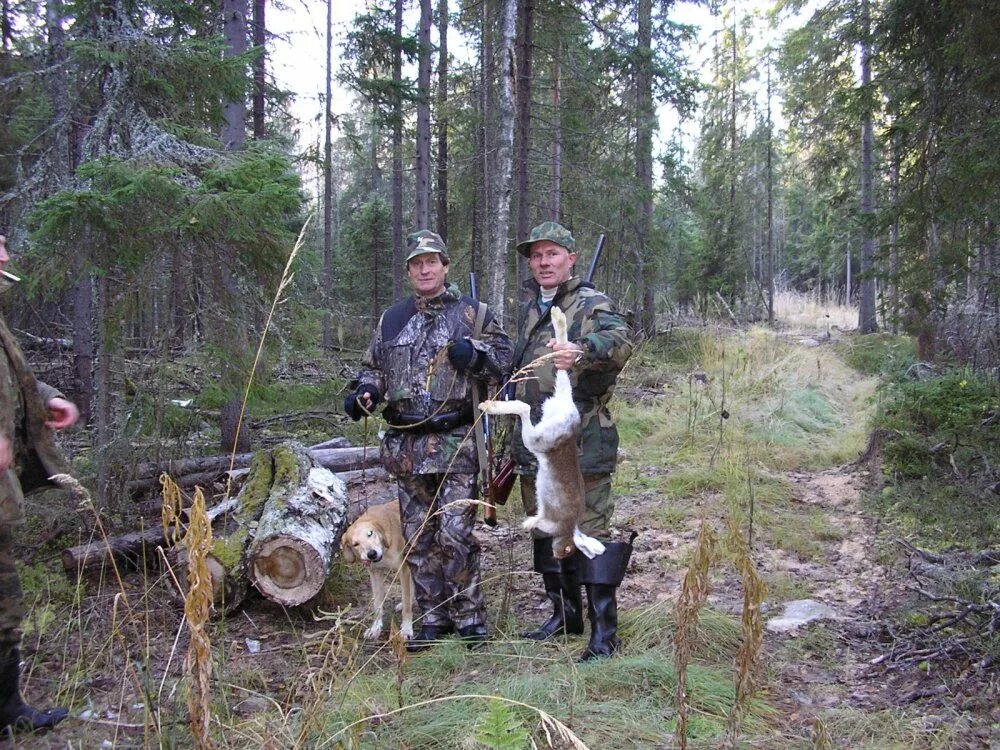 Ведение охотничьего хозяйства. Охота. 223 ремингтон охота на боровую дичь. Последнее видео охотника. Охота на зайцев с гончими 2020.