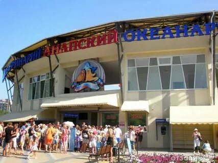 Дельфинарий анапа сайт