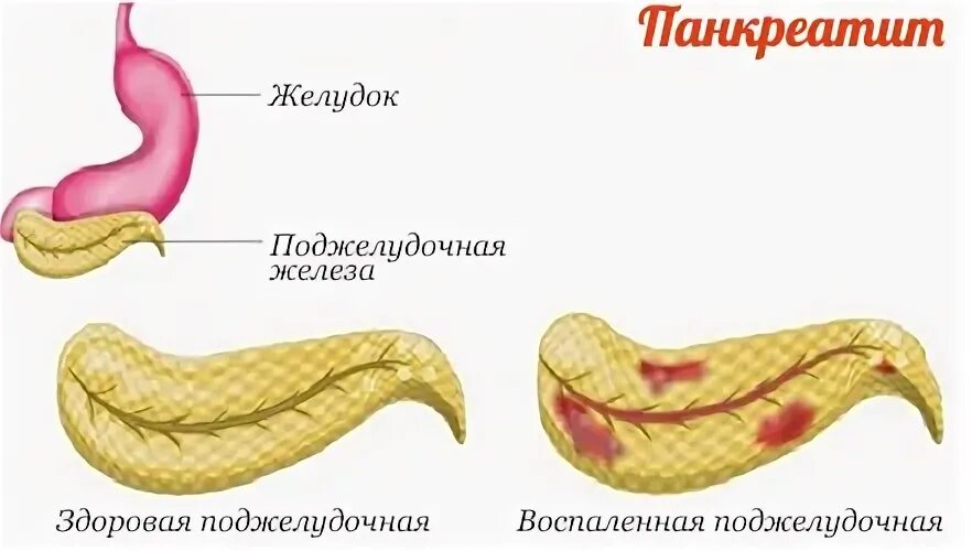 Польза для поджелудочной