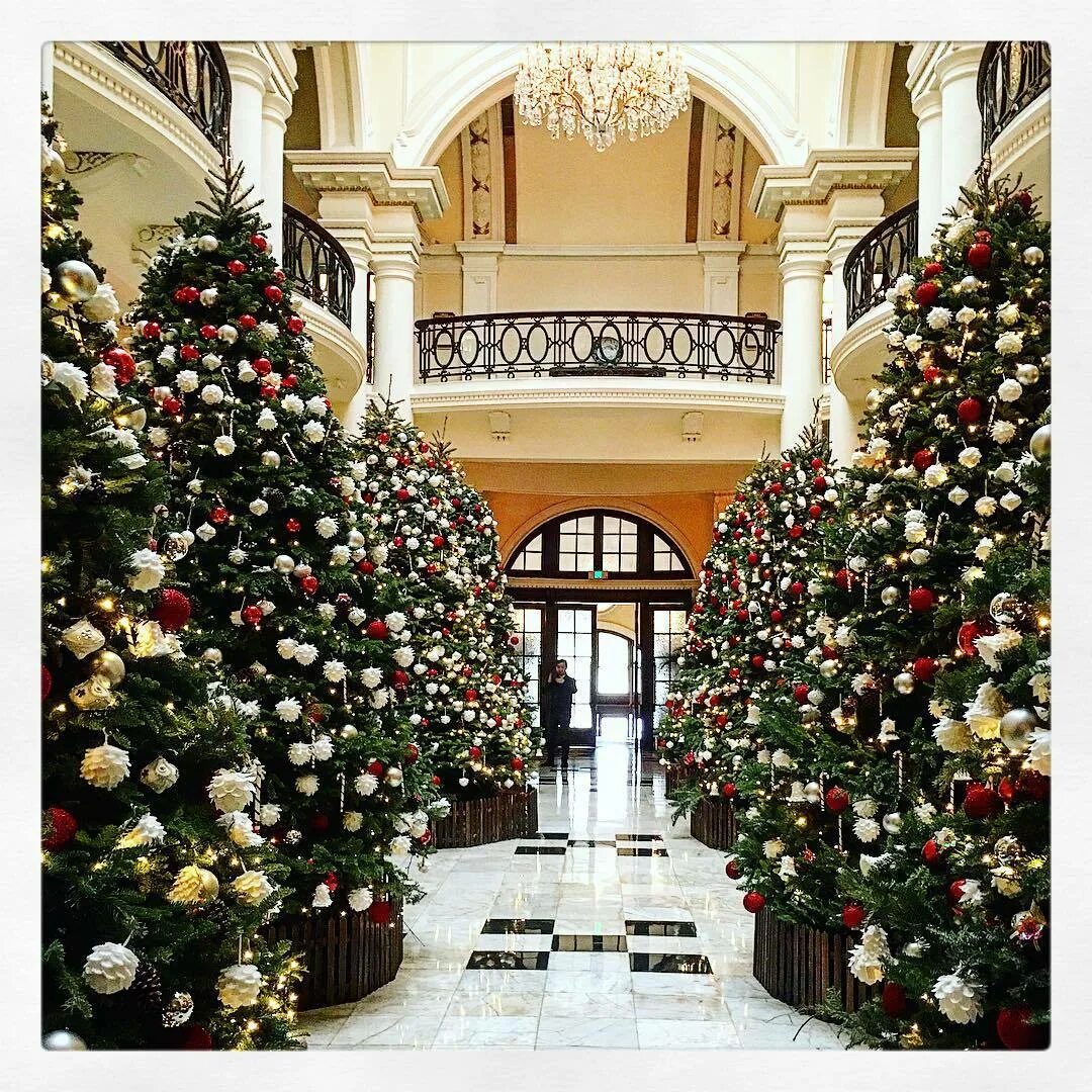 новогодняя елка в отеле. отель плаза париж. отель рождественский. гранд отель поляна новый год. отель рождественский.