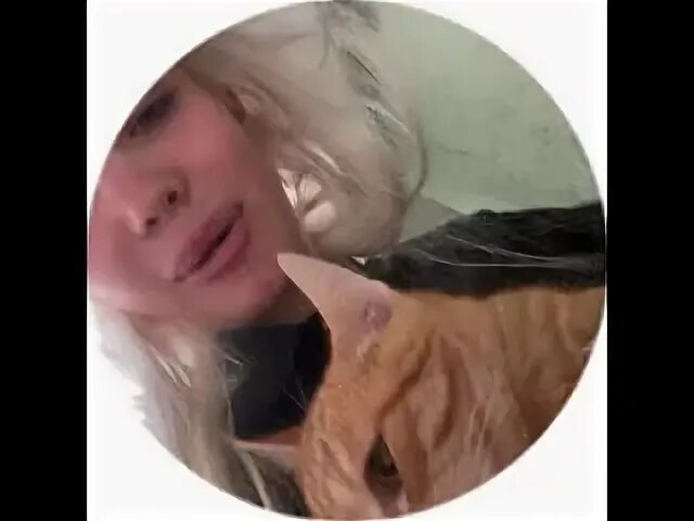 Тг финесс