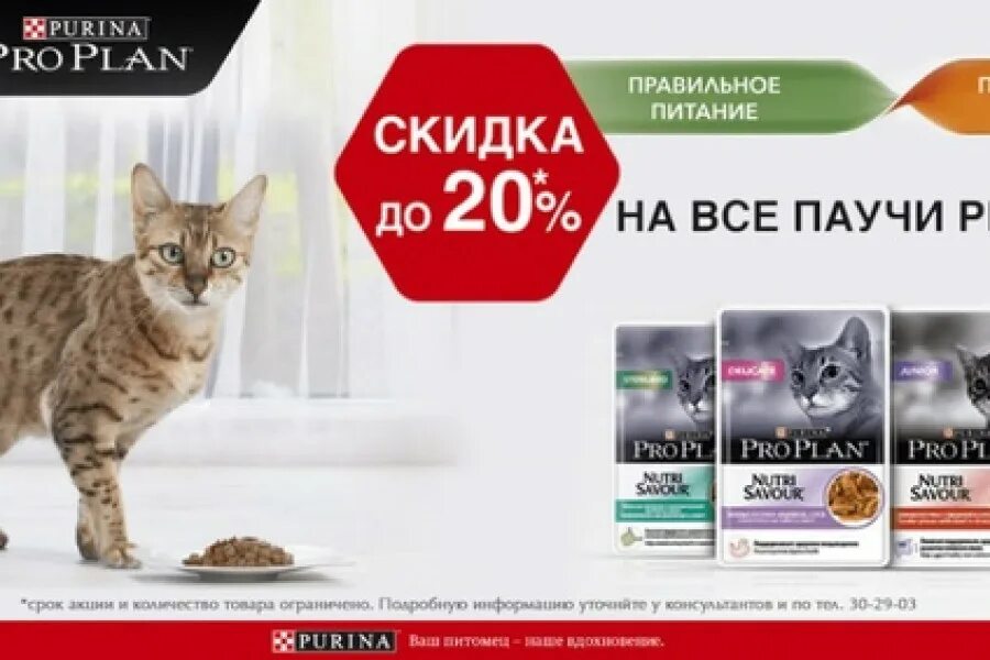 Пауч Purina Pro Plan. Purina Pro Plan для кошек паучи. Purina Pro Plan (Пурина про план) паучи для кошек с говядиной - 85г.. Паучи для кошек Purina PROPLAN. Pro plan екатеринбург