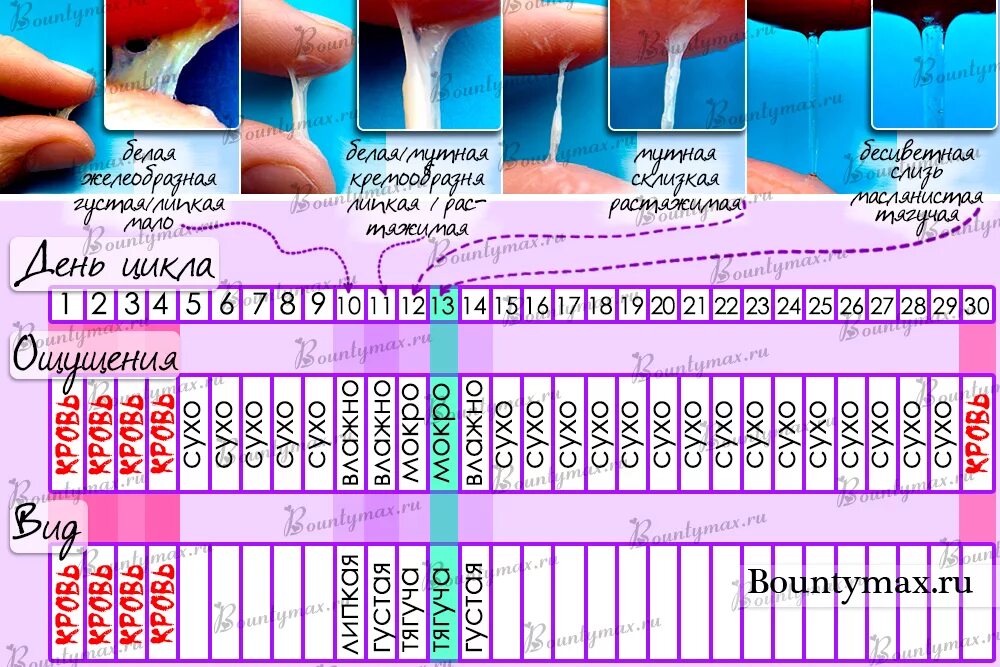 Второй месяц не могу забеременеть