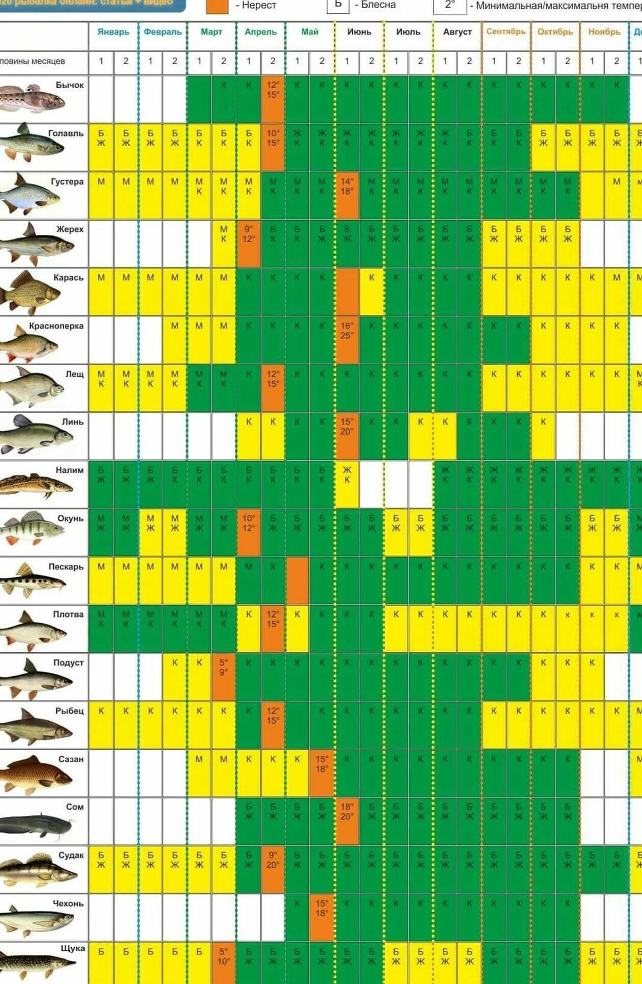 Календарь клева краснодарский. Лунный календарь рыболова на 2022. Лунный календарь рыболова на 2022 год. Таблица когда клюет рыба. Рыбацкий календарь Ростовская область на 2022.