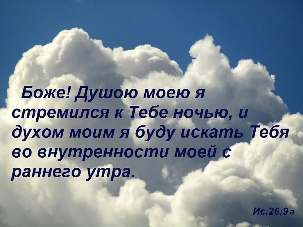 Давай прославь душа моя. Только в Господе успокаивается. Только в Боге успокаивается душа моя Библия. Только в Боге успокаивается. Только в Господе успокаивается душа.