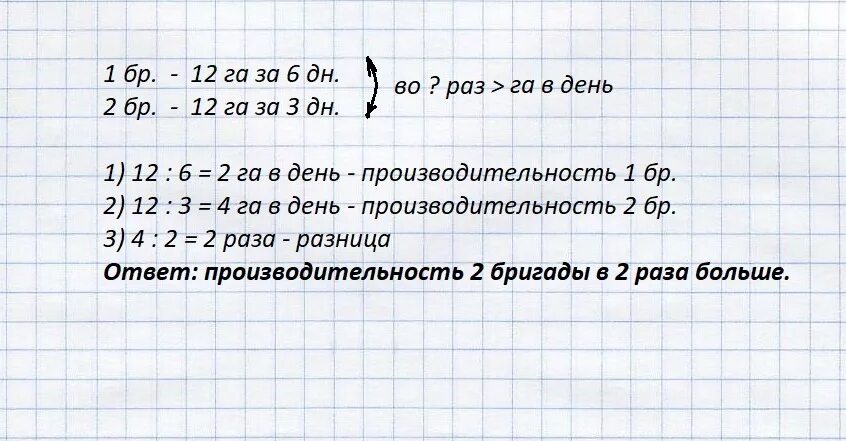 Одна бригада рабочих может посадить 600 деревьев