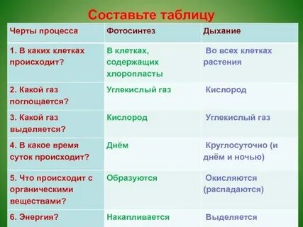 Таблица фотосинтез дыхание 6 класс
