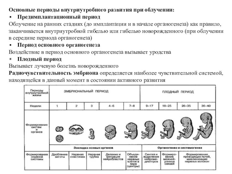 Период имплантации внутриутробного развития. Периоды внутриутробного развития антенатальный. Схема внутриутробного развития плода. Периоды внутриутробного развития схема.