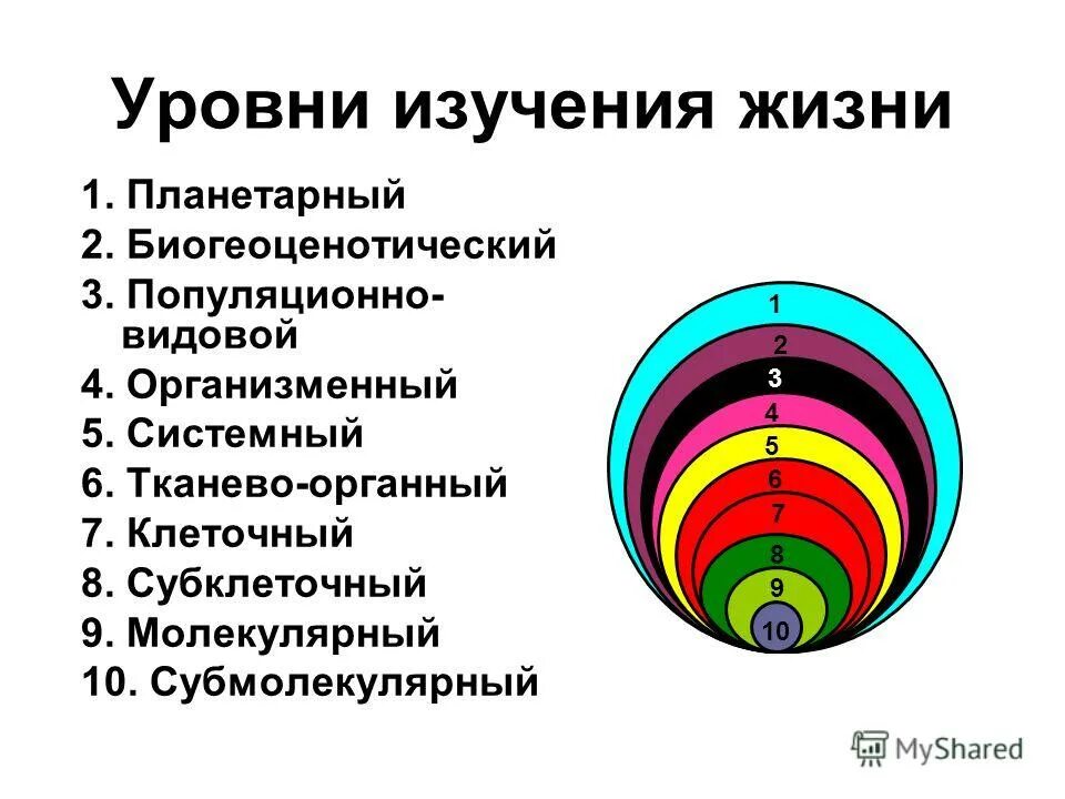 уровни организации живых организмов. наука изучающая уровни жизни. компоненты и процессы на биосферном уровне. биосферный уровень организации компоненты. наука изучающая уровни жизни.