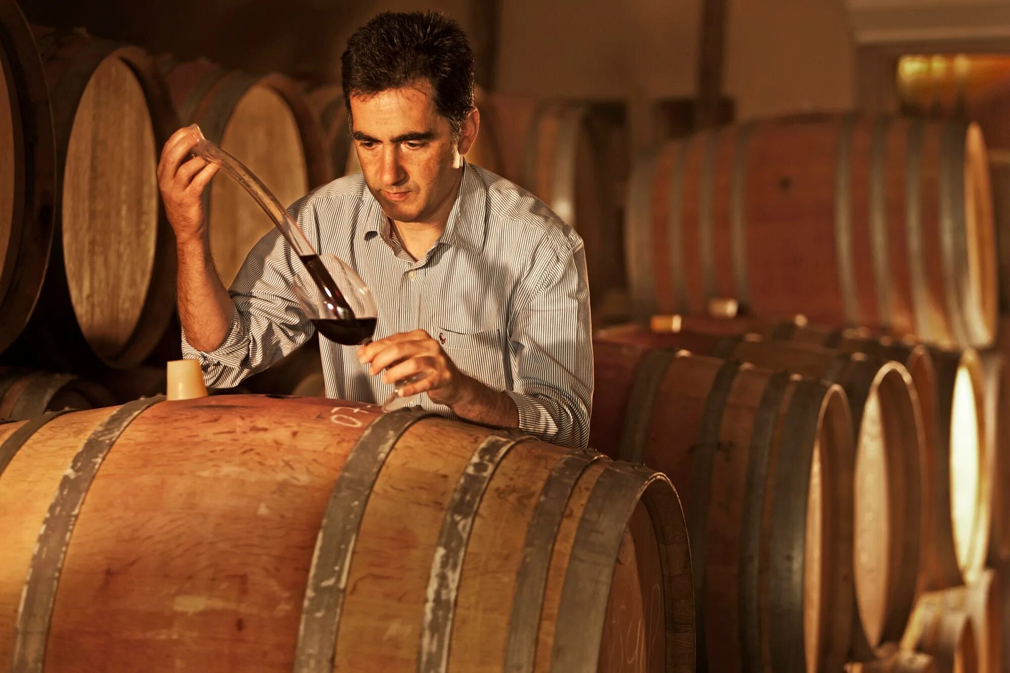 Смешанные вина. Дегустация вина. Купажирование вина. Cote rotie вино. Купажирование вина.