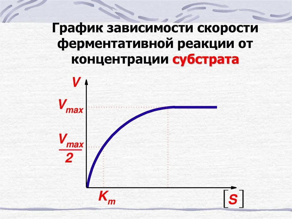 График зависимости фермента от температуры. График зависимости скорости реакции от концентрации субстрата. График зависимости ферментативной реакции от концентрации субстрата. График зависимости ферментативной реакции от температуры. График скорости ферментативной реакции от концентрации субстрата.