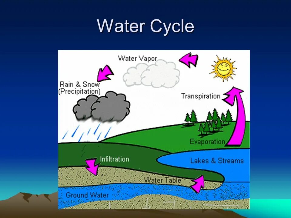 Круговорот воды на английском. Environmental Water Cycle рисунок. Круговорот воды в природе на английском. The Water Cycle 3d.