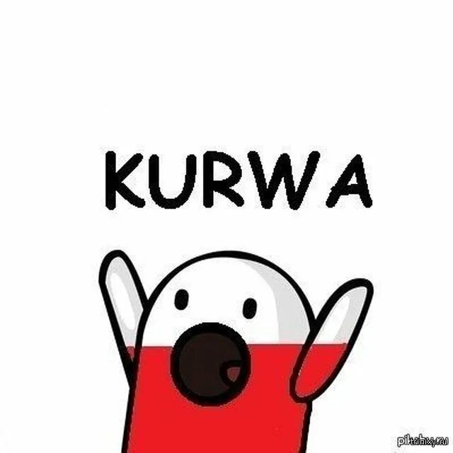 Bobr kurwa ja. Kurwa мем. польша kurwa. поляки мемы. kurwa картинки.