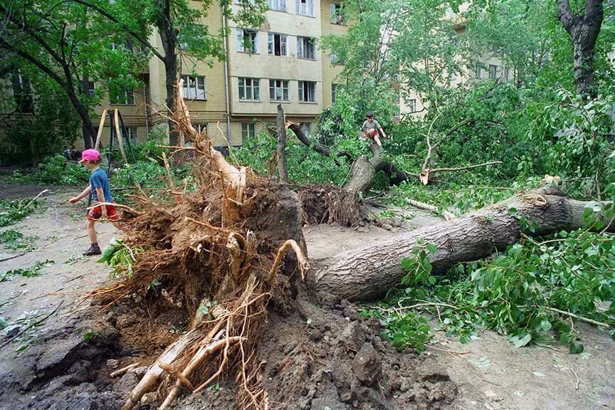 Московский ураган 1998 года. Ураган в Москве 1998г. Ураган, июнь 1998. 21 Июня 1998 ураган в Москве. 1 июня 1998