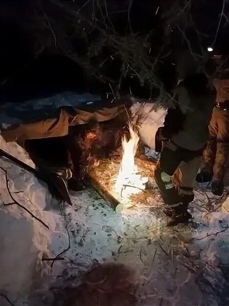 Берлога выжившего. Берлога выжившего