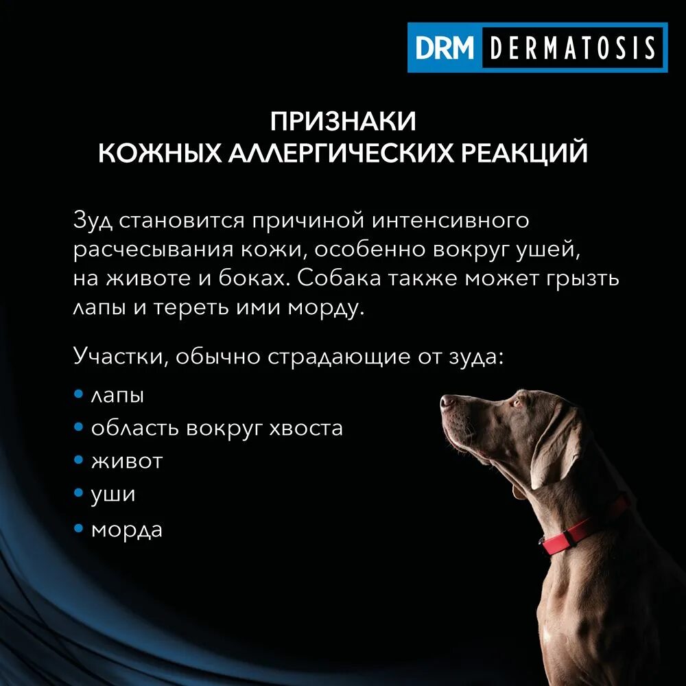 Проплан дерматозис для собак 12 кг. Корм для собак проплан drm. Ppvd drm сухой. Drm dermatosis. Пурина дерматозис для собак.