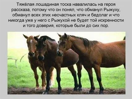 Тест по литературе о чем плачут лошади